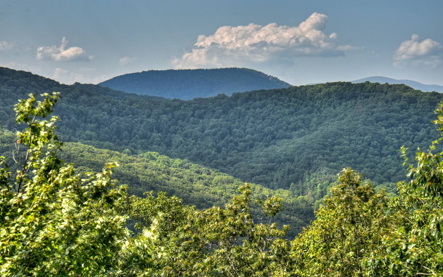 340 Ruby Gulch Morganton, GA 30560 - Photo 2 of 43 Additional View