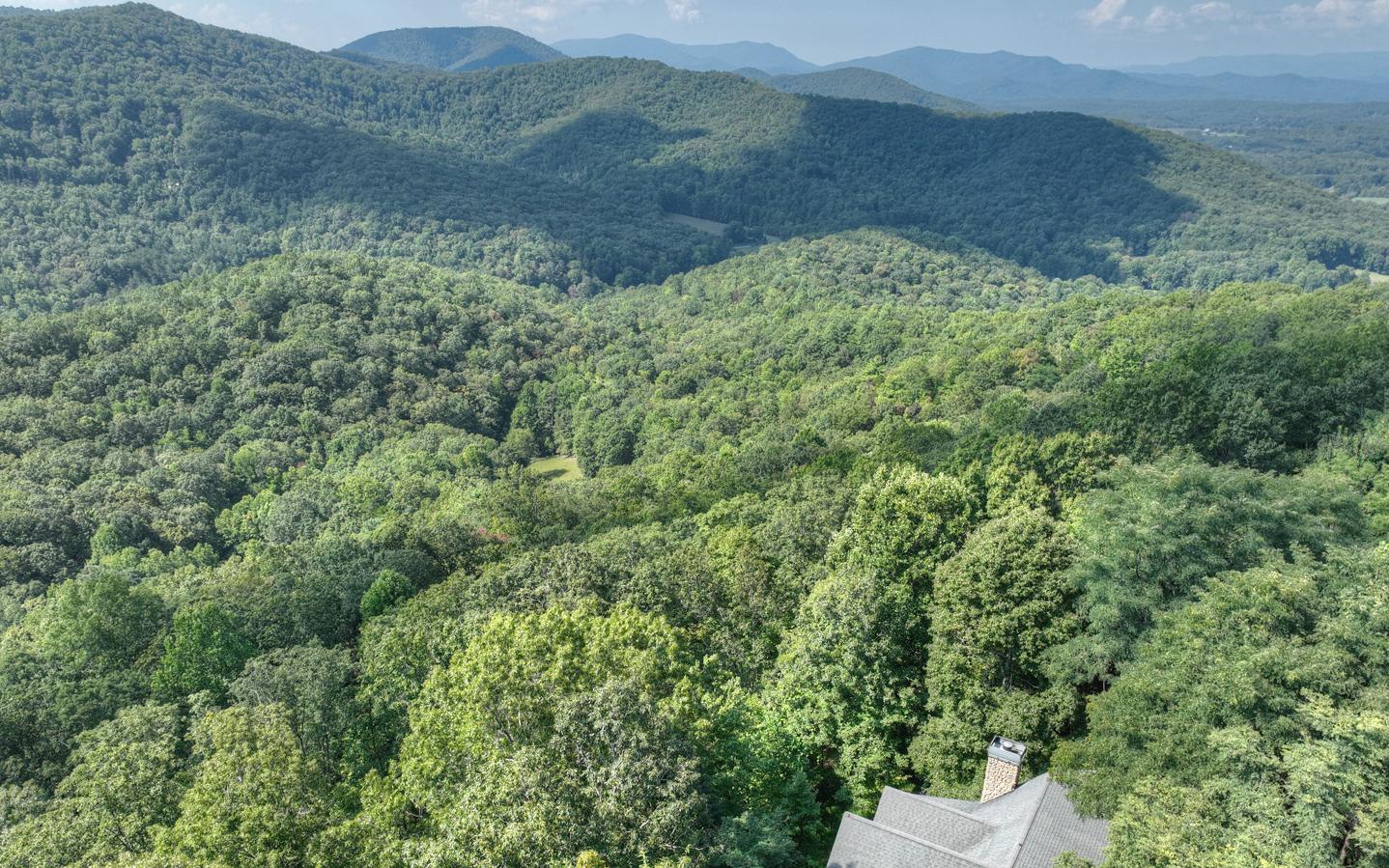 340 Ruby Gulch Morganton, GA 30560 - Photo 26 of 43 Additional View