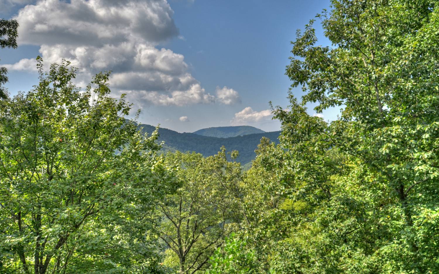 340 Ruby Gulch Morganton, GA 30560 - Photo 27 of 43 Additional View