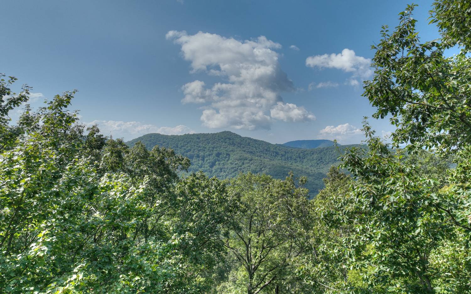 340 Ruby Gulch Morganton, GA 30560 - Photo 29 of 43 Additional View