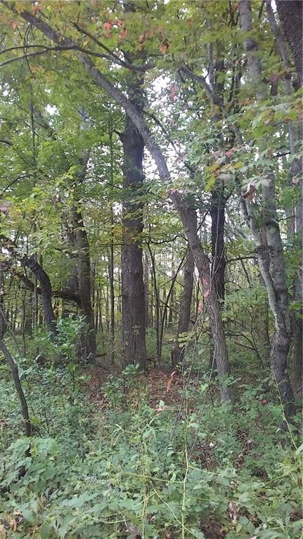 0 Flagg Road New Sharon, ME 04955 - Photo 3 of 12 Photo