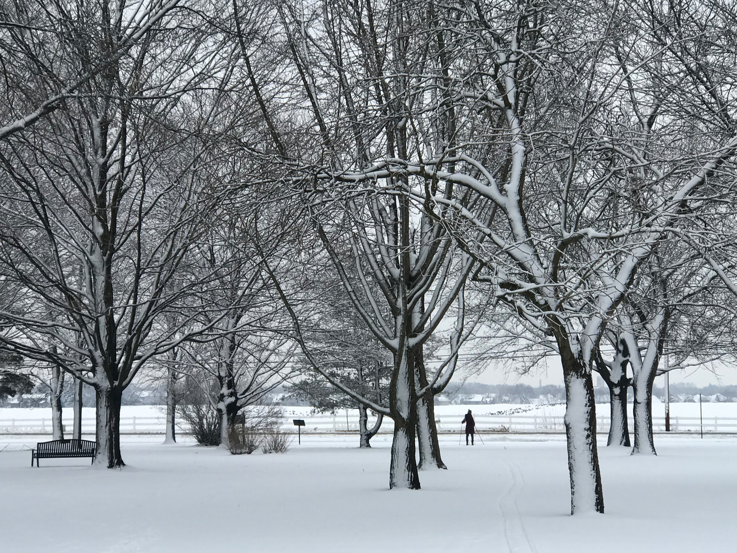 46 Feece Drive Batavia, IL 60510 - Photo 36 of 37