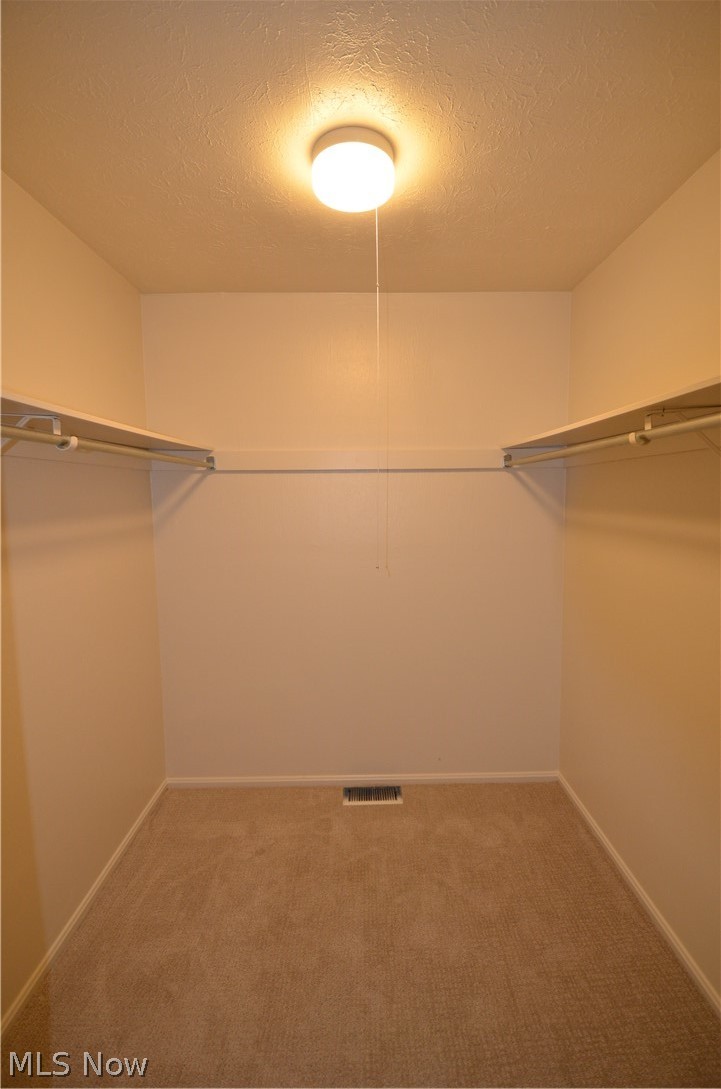 6933 West Fitzwater Road Brecksville, OH 44141 - Photo 13 of 18 Primary Bedroom walk-in closet featuring carpet flooring
