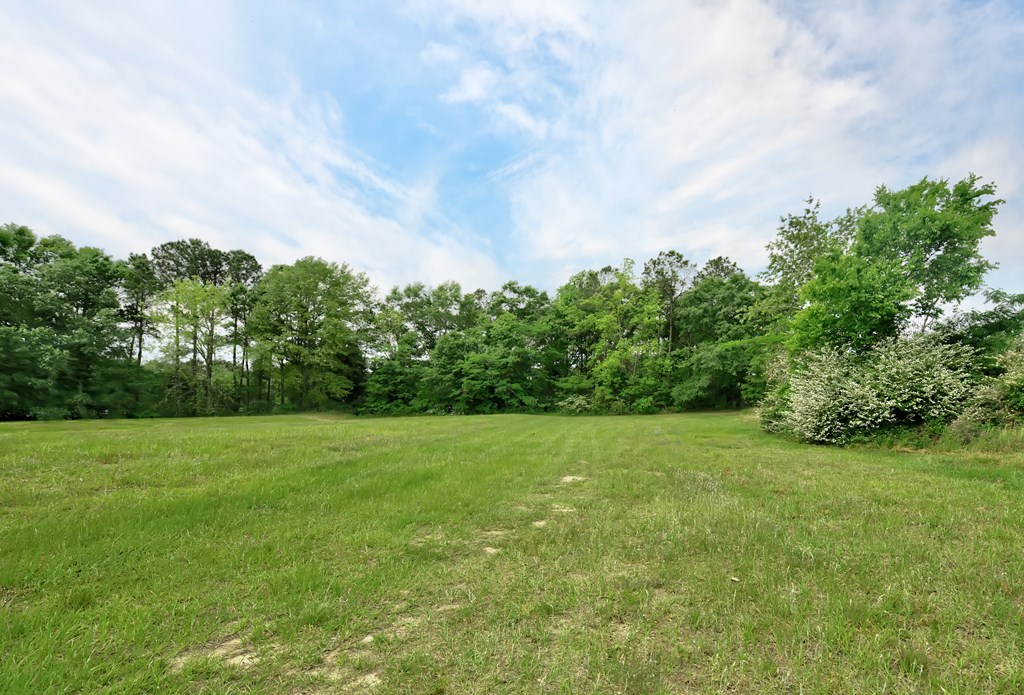 Lot 1 McCord Road Dothan, AL 36301 - Photo 3 of 10