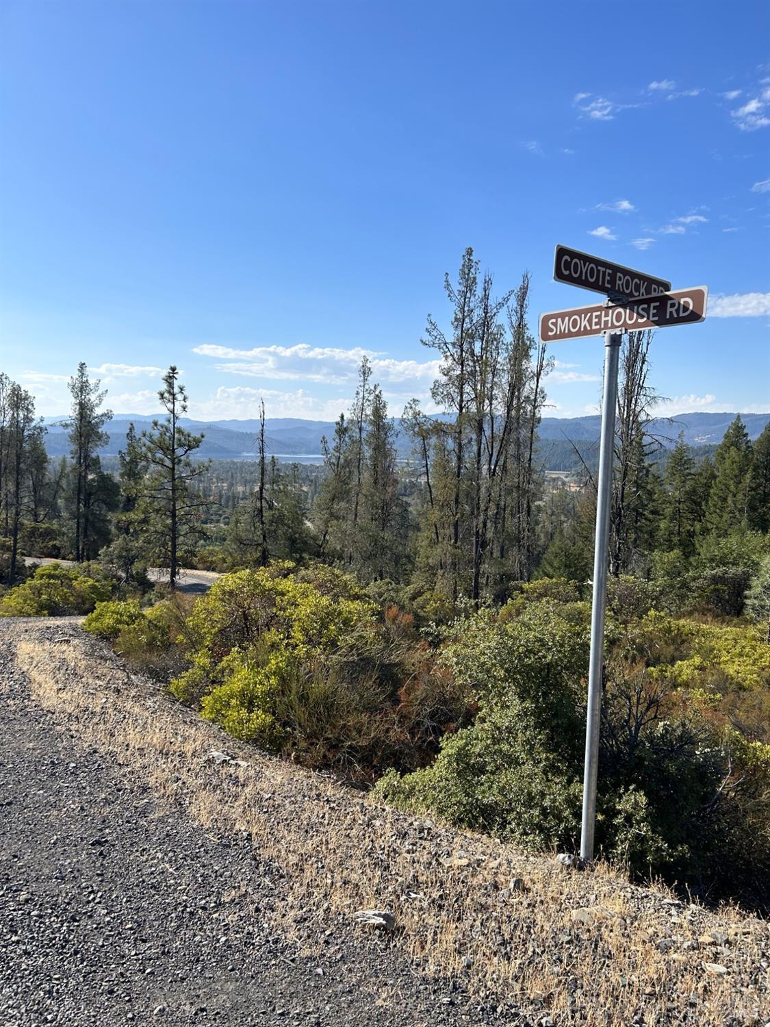 29956 Booth Crossing Road Potter Valley, CA 95469 - Photo 3 of 4 a view of a house with a yard