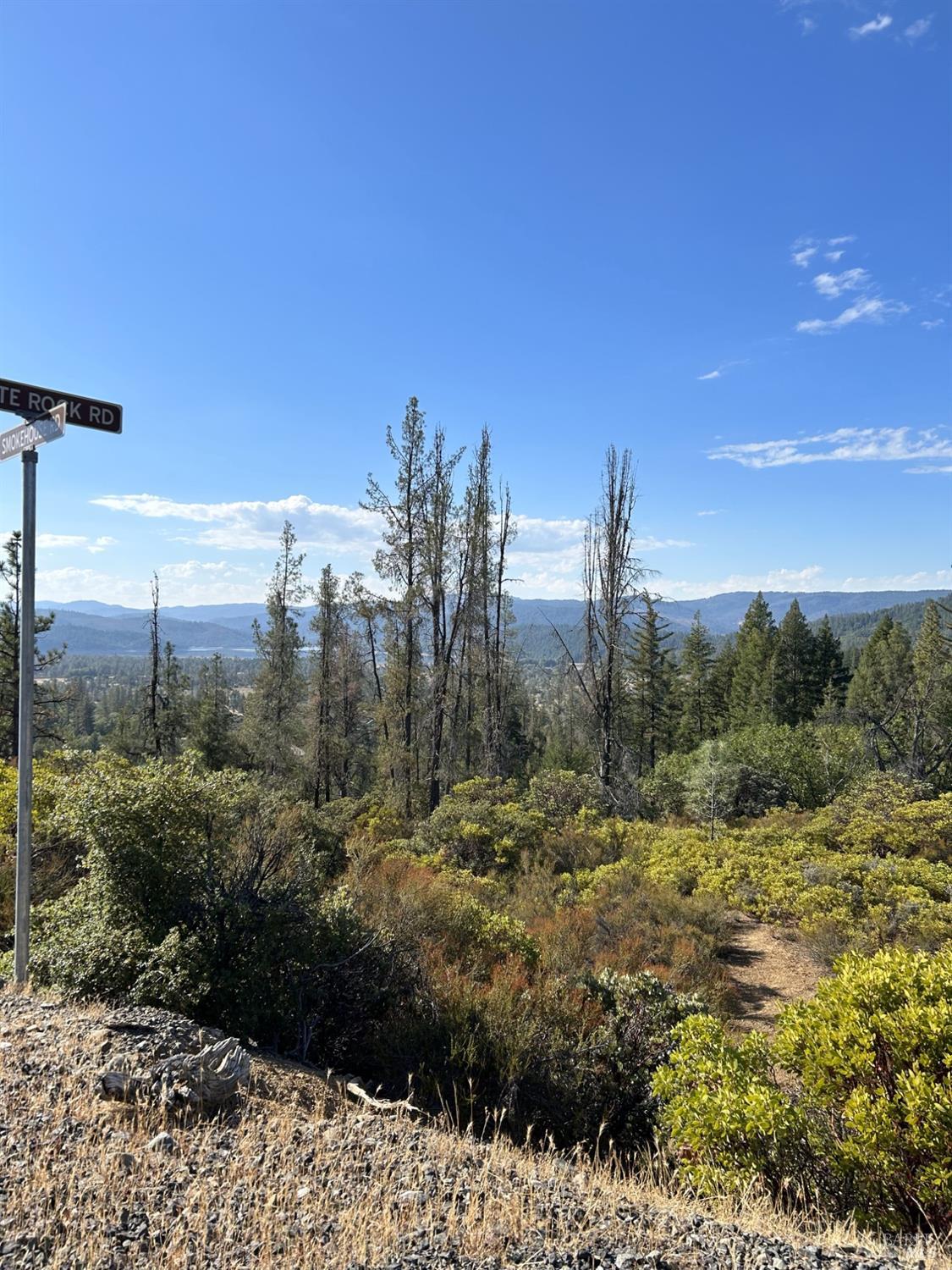 29956 Booth Crossing Road Potter Valley, CA 95469 - Photo 4 of 4 a view of a garden