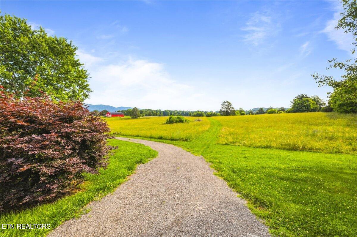 819 Island Ford Road Jacksboro, TN 37757 - Photo 52 of 56 52-819 Island Ford Rd