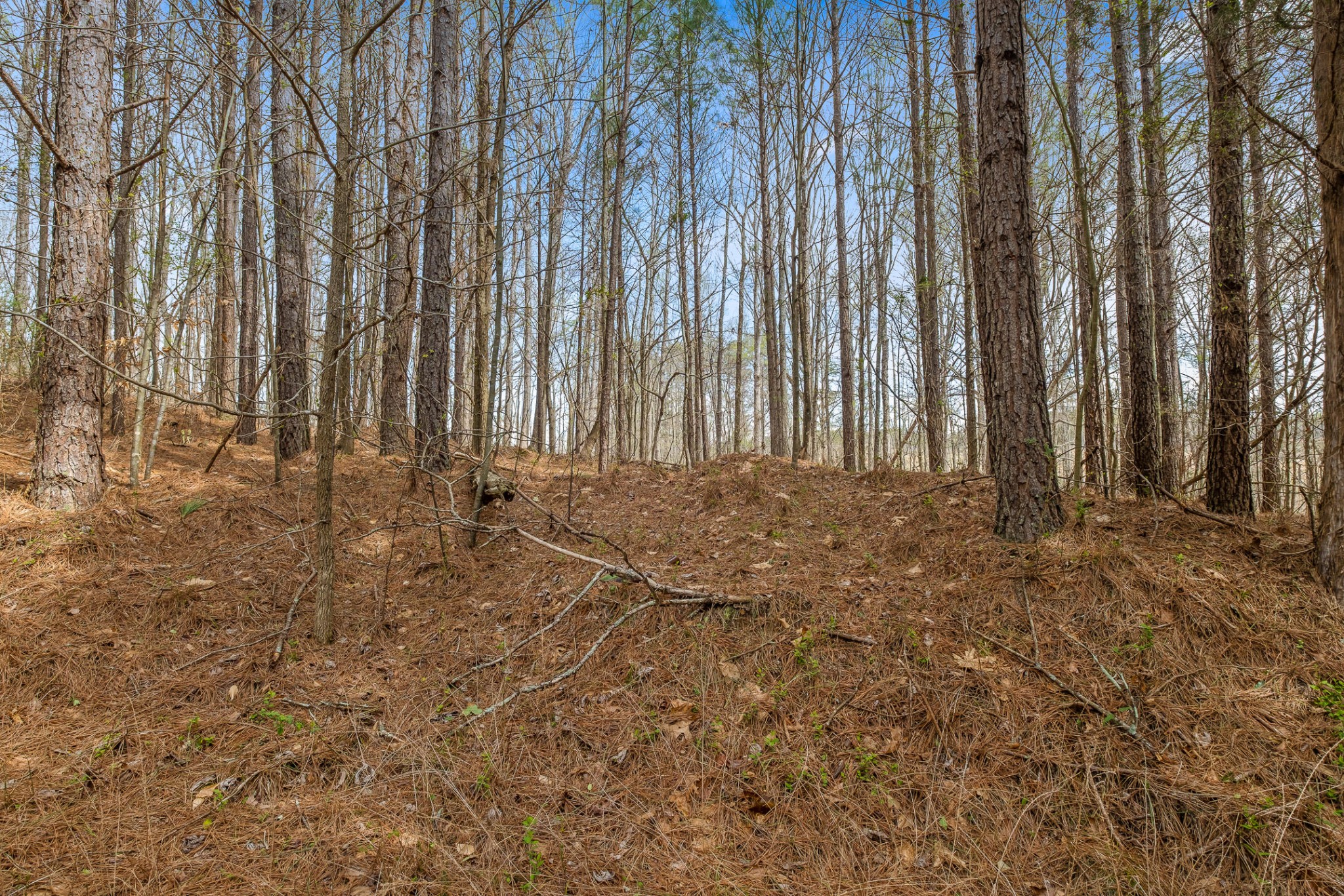 2041 Plank Road Decatur, TN 37322 - Photo 35 of 36 Gallery Image 35