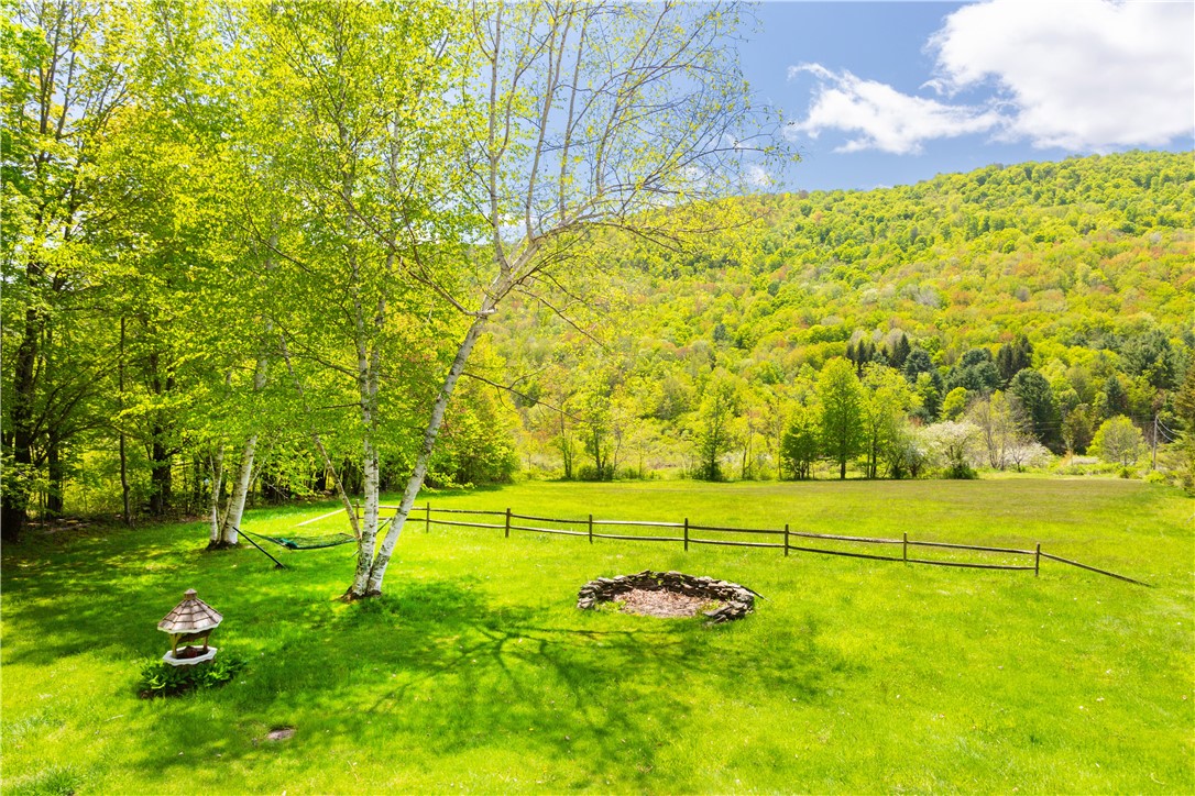 0 Private Road Andes, NY 13731 - Photo 15 of 46