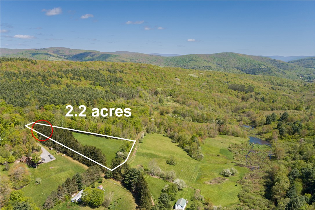 0 Private Road Andes, NY 13731 - Photo 19 of 46