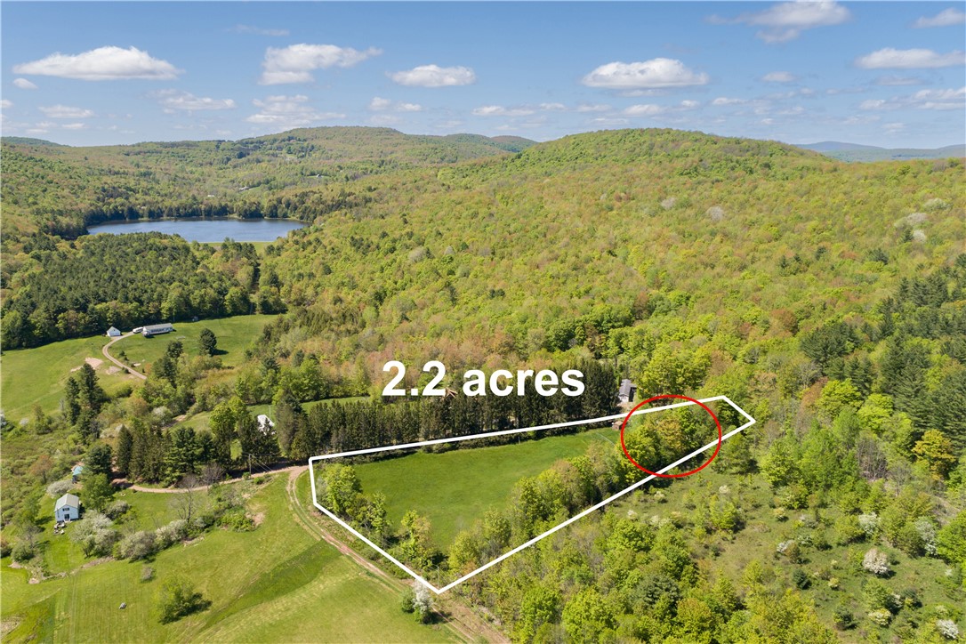 0 Private Road Andes, NY 13731 - Photo 6 of 46