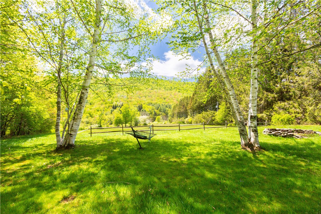 0 Private Road Andes, NY 13731 - Photo 7 of 46