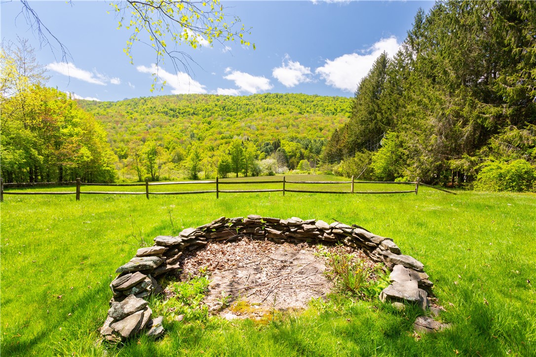 0 Private Road Andes, NY 13731 - Photo 9 of 46