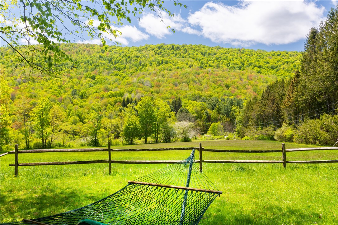 0 Private Road Andes, NY 13731 - Photo 10 of 46