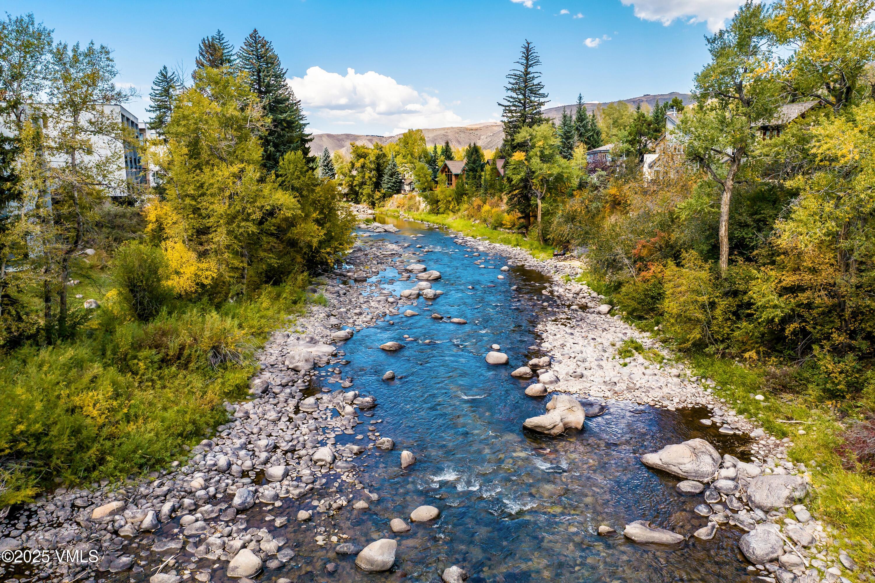 155 Goldfinch Lane, Unit 3D Avon, CO 81620 - Photo 13 of 14 a view of a garden with flower plants