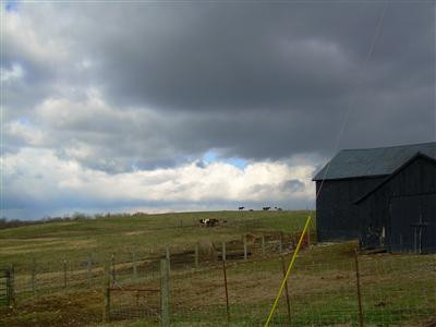 2750 High Bridge Road Wilmore, KY 40390 - Photo 2 of 7 Photo 2