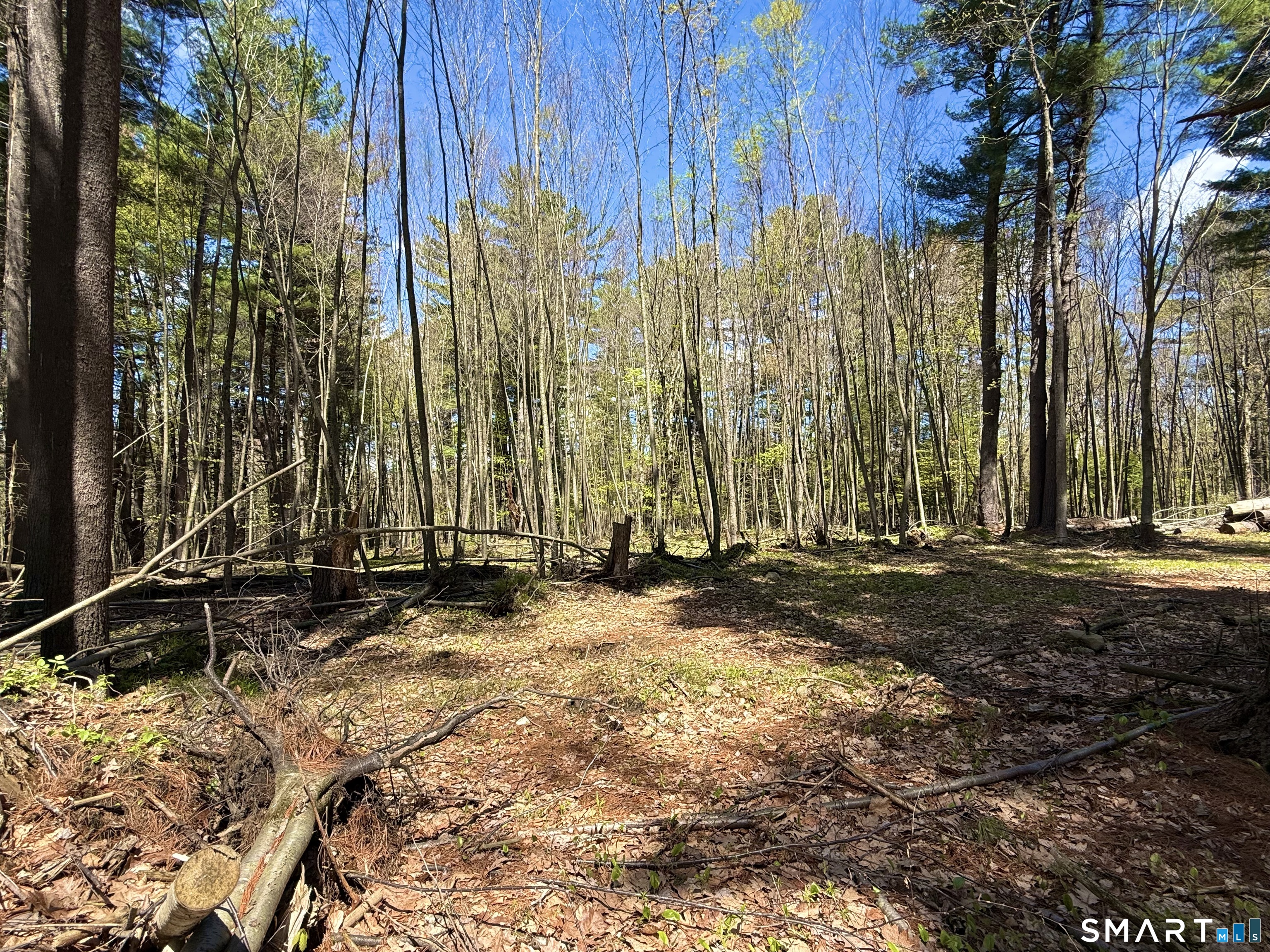 Clearview Avenue Harwinton, CT 06791 - Photo 9 of 29