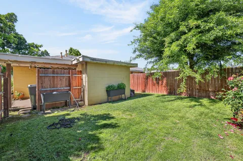 a view of backyard with barbeque grill and a large tree