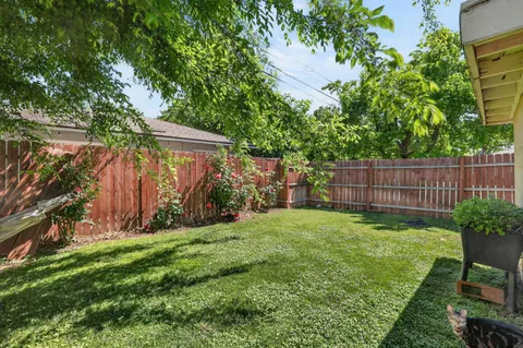 a view of a backyard with table and chairs and a large tree