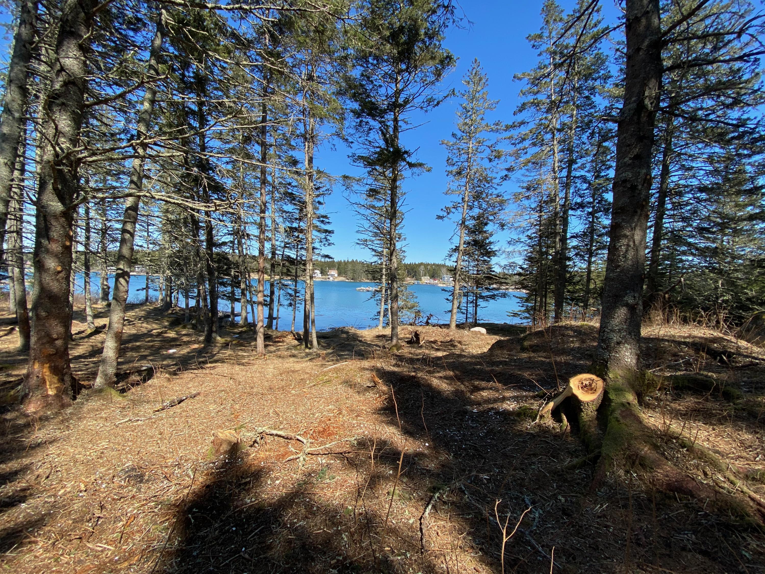 93 A Dyers Island Road Vinalhaven, ME 04863 - Photo 9 of 28 IMG_7223