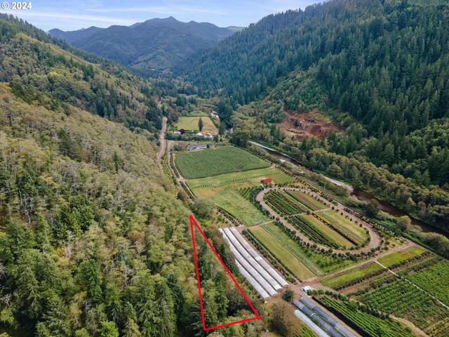 a view of a yard with a park