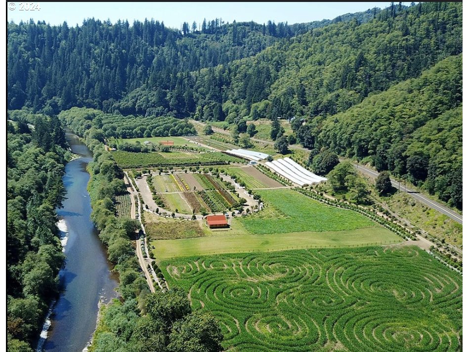 500 Kilchis River Tillamook, OR 97141 - Photo 15 of 15 a view of a garden with a park
