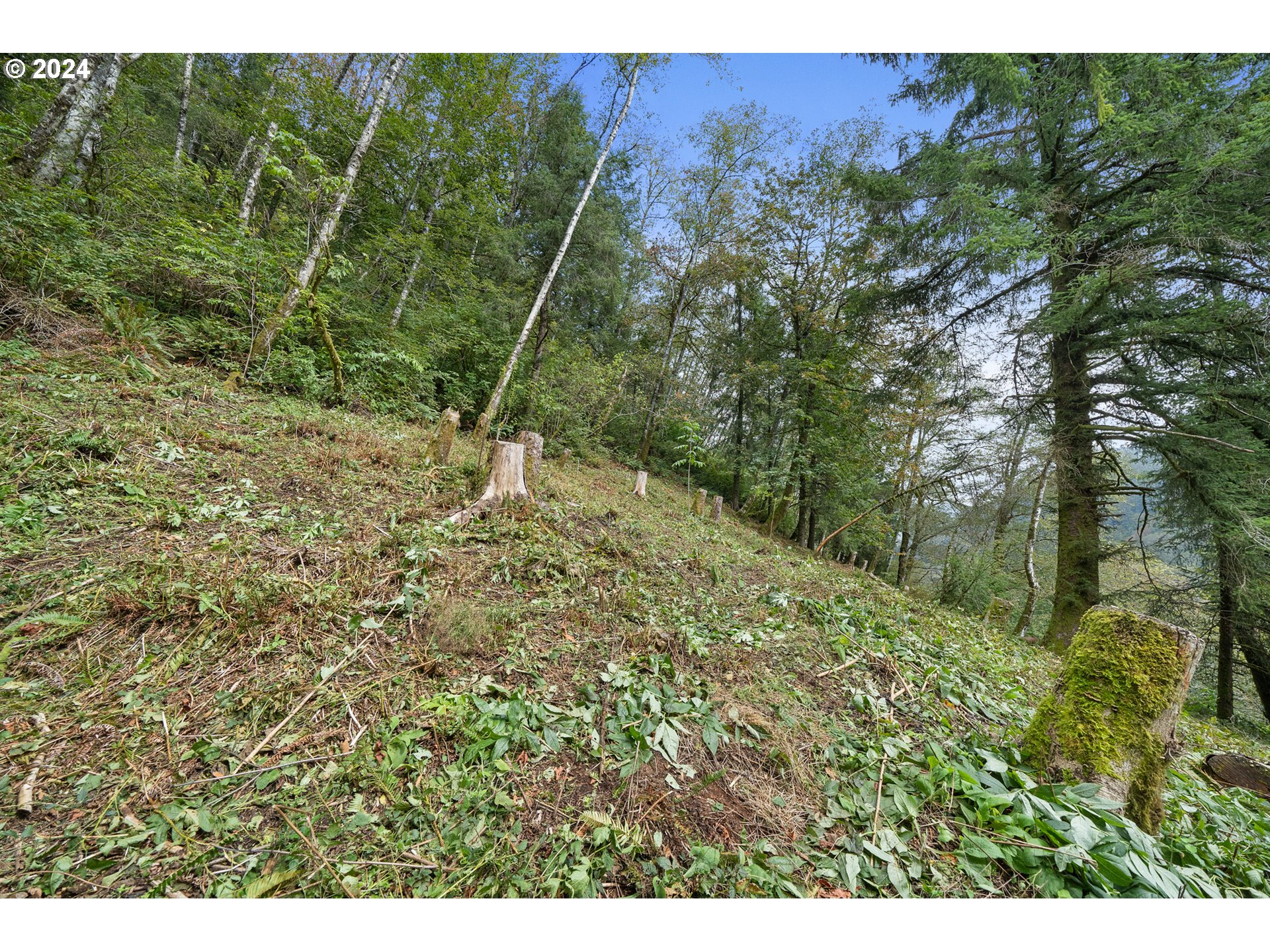 500 Kilchis River Tillamook, OR 97141 - Photo 2 of 15 a view of an outdoor space with a street