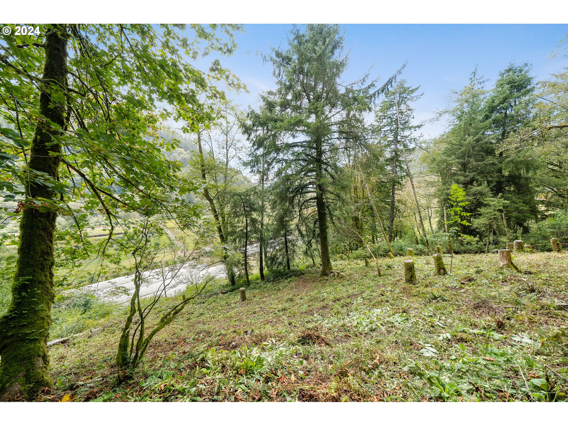 500 Kilchis River Tillamook, OR 97141 - Photo 3 of 15 a view of outdoor space with trees