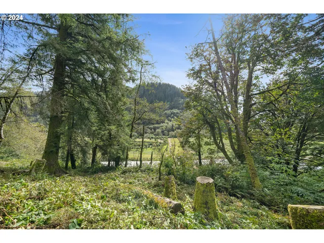 a view of outdoor space and yard