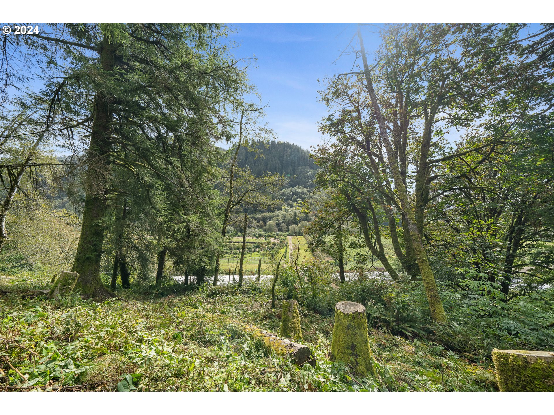 500 Kilchis River Tillamook, OR 97141 - Photo 5 of 15 a view of outdoor space and yard