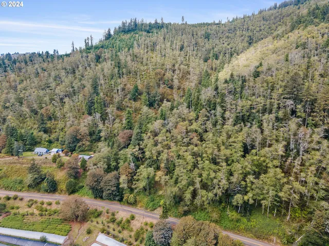 a view of a forest with a house in the background