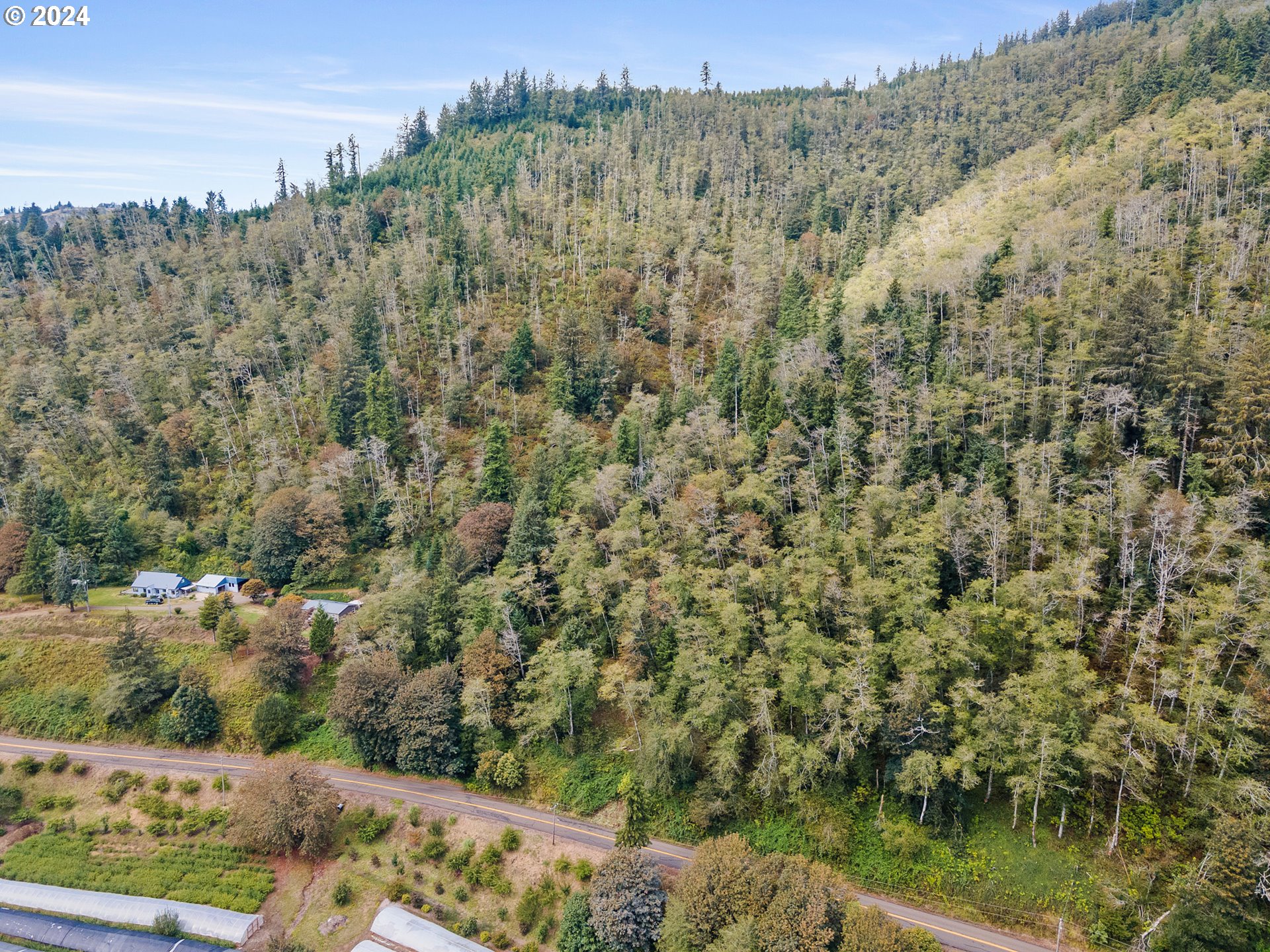500 Kilchis River Tillamook, OR 97141 - Photo 7 of 15 a view of a forest with a house in the background