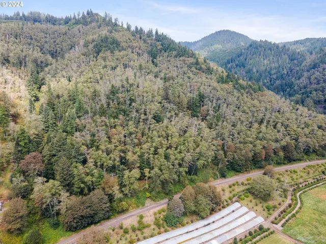a view of a valley with a mountain in the background