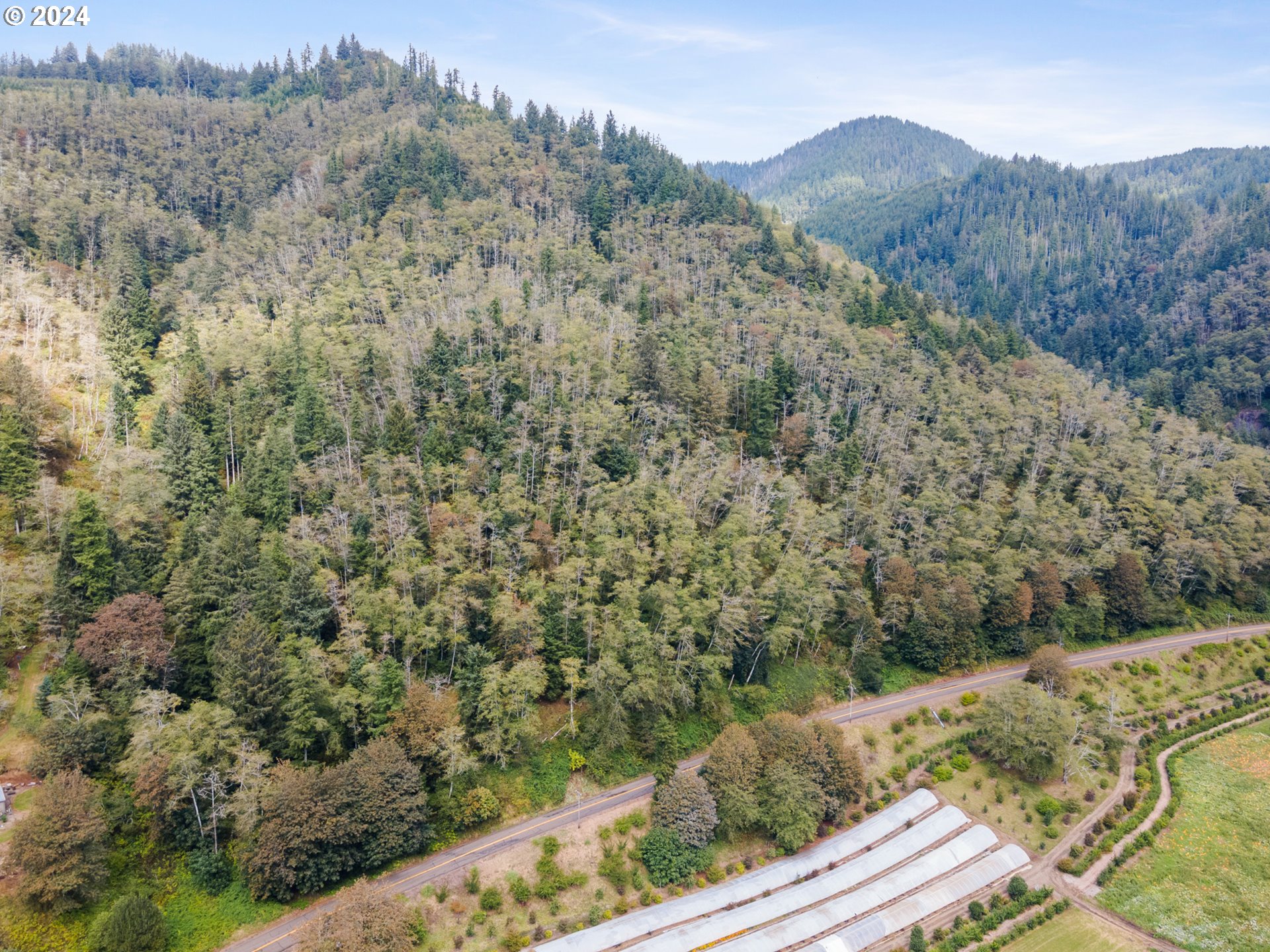 500 Kilchis River Tillamook, OR 97141 - Photo 8 of 15 a view of a valley with a mountain in the background