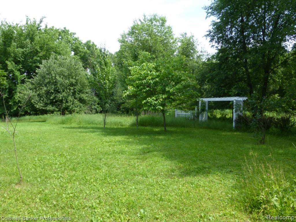 11350 Clark Road Davisburg, MI 48350 - Photo 41 of 46 side yard.jpg