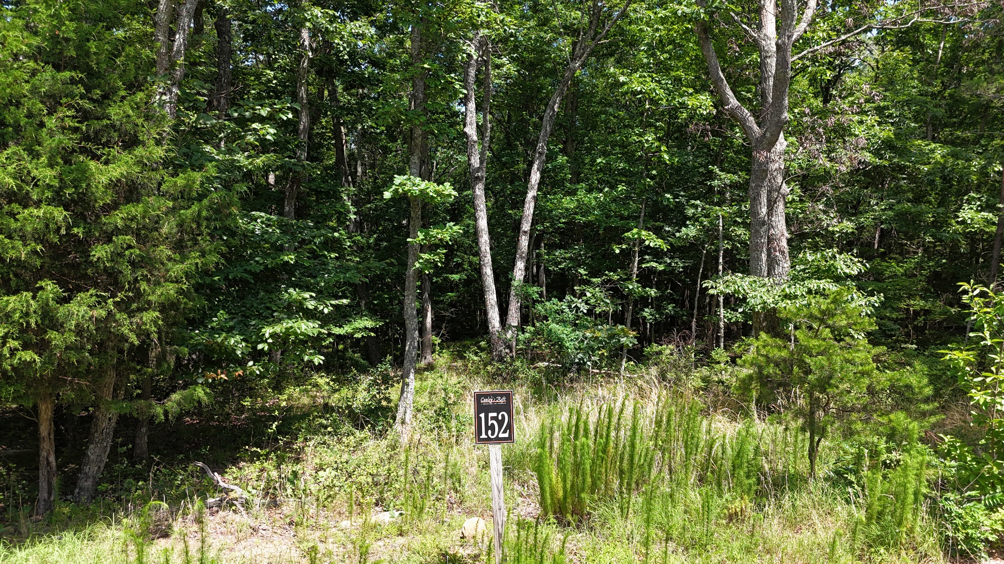 0 Brow Road Pelham, TN 37366 - Photo 15 of 32 a view of a garden