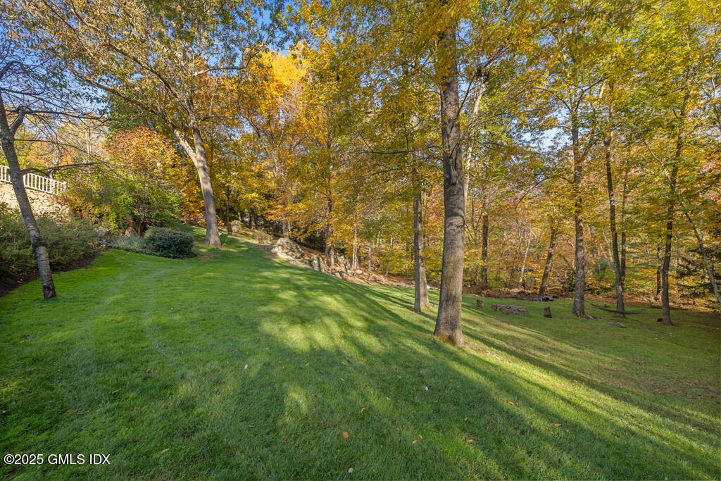 145 Porchuck Road Greenwich, CT 06831 - Photo 31 of 41 3W6A9287