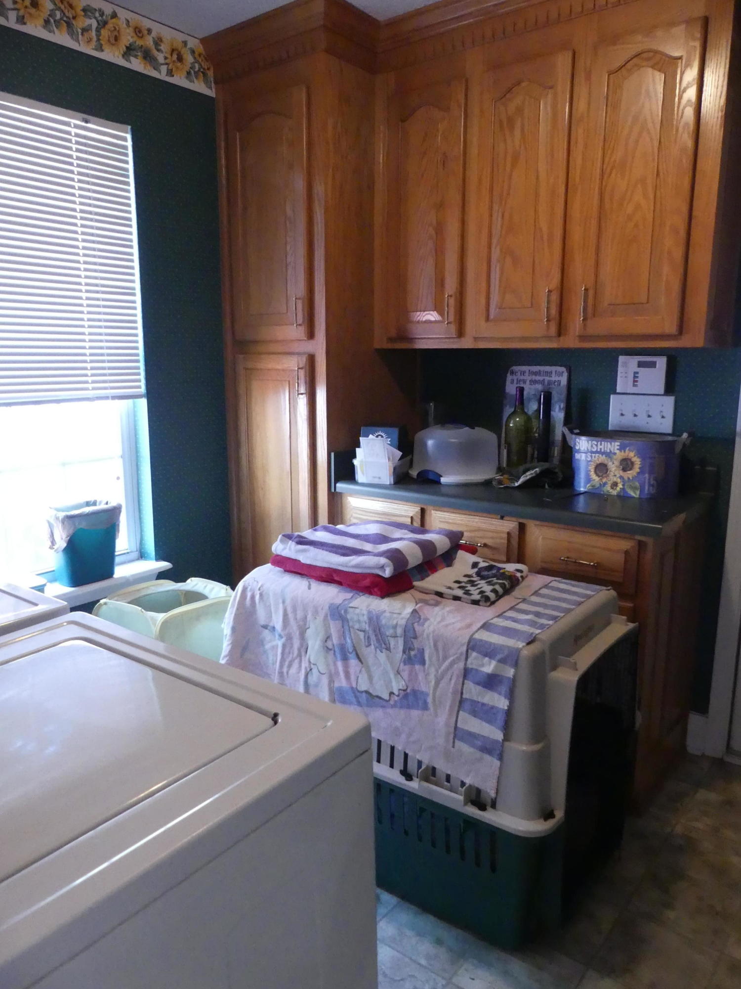 3755 Walden Road Macon, GA 31216 - Photo 18 of 41 P1020301