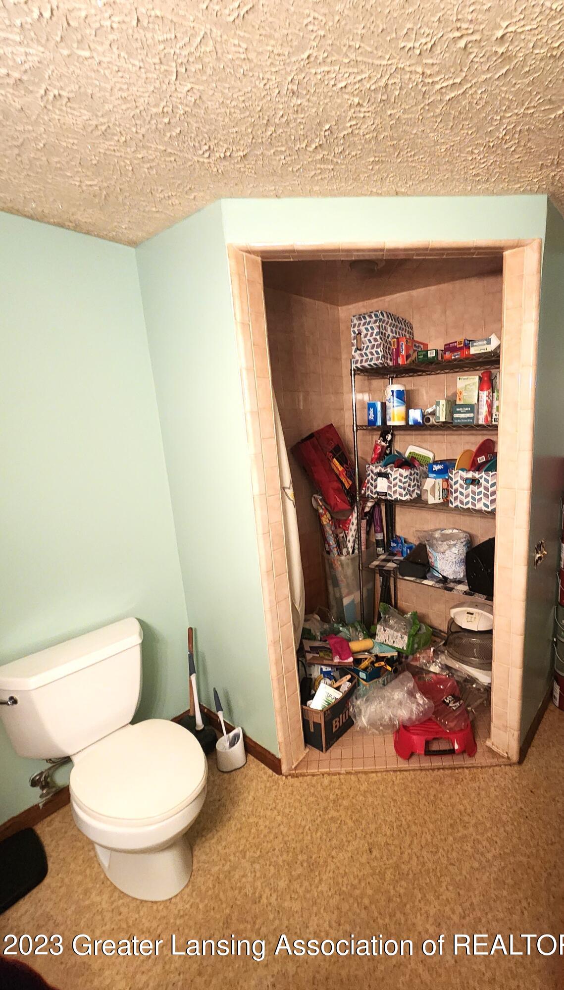 1680 House Road North Webberville, MI 48892 - Photo 9 of 16 Handicap Accessible Bathroom