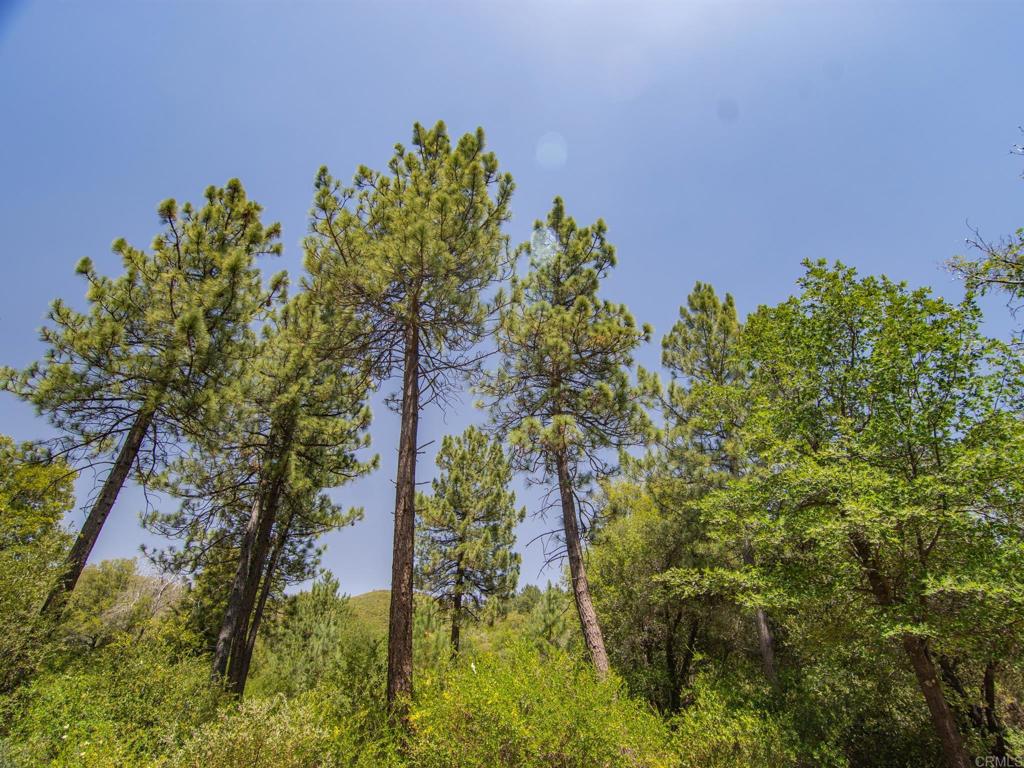 7 West Incense Cedar Road Julian, CA 92036 - Photo 20 of 24