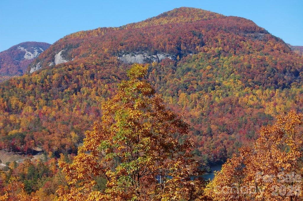 169 Overlook Point Lane Lake Lure, NC 28746 - Photo 3 of 39 a view of a lush green hillside and a building