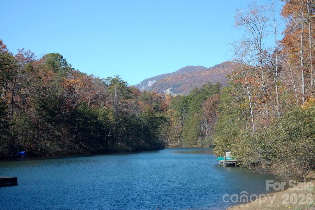 169 Overlook Point Lane Lake Lure, NC 28746 - Photo 38 of 39 a view of a field with a tree in the background