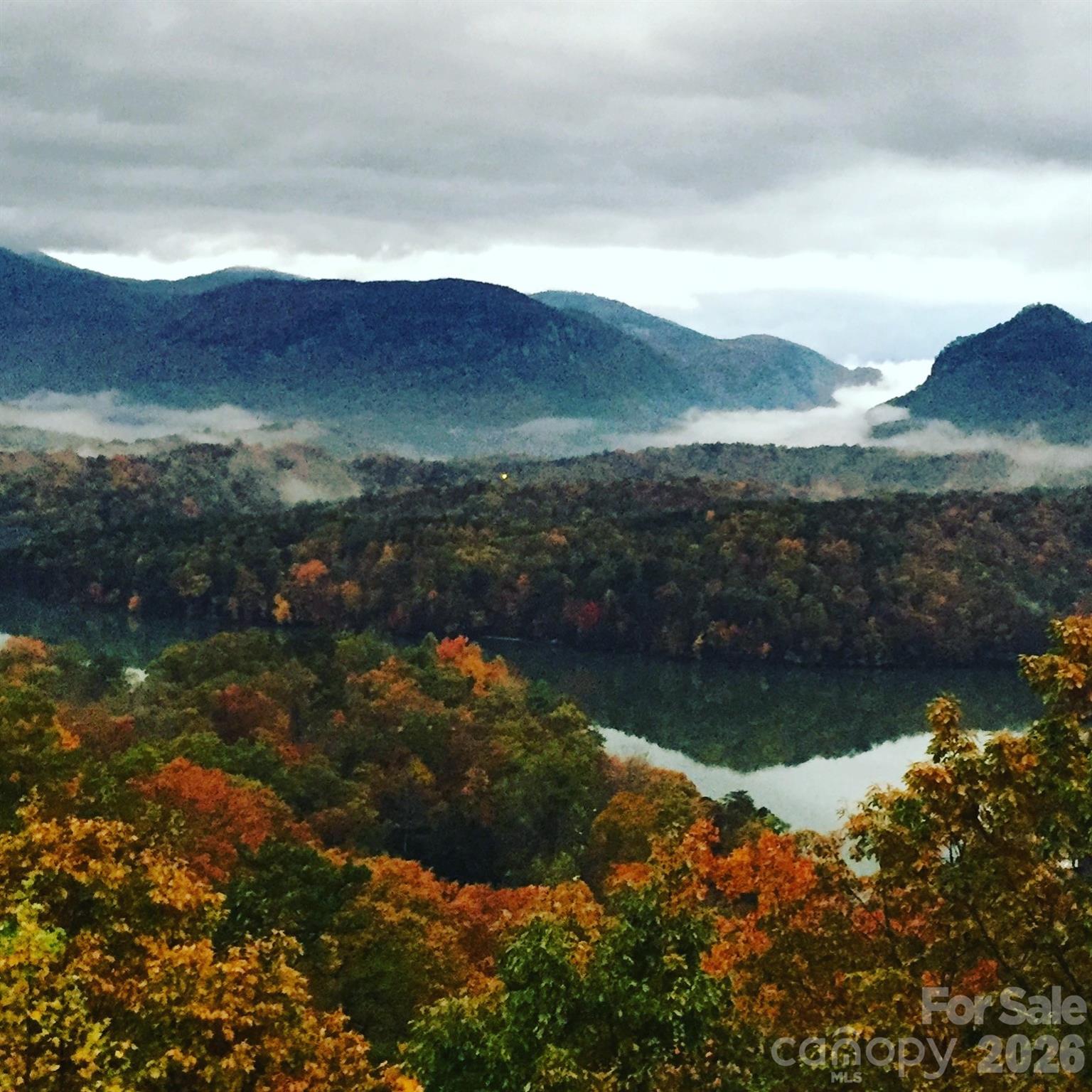 169 Overlook Point Lane Lake Lure, NC 28746 - Photo 7 of 39 a view of a lake in middle of the forest