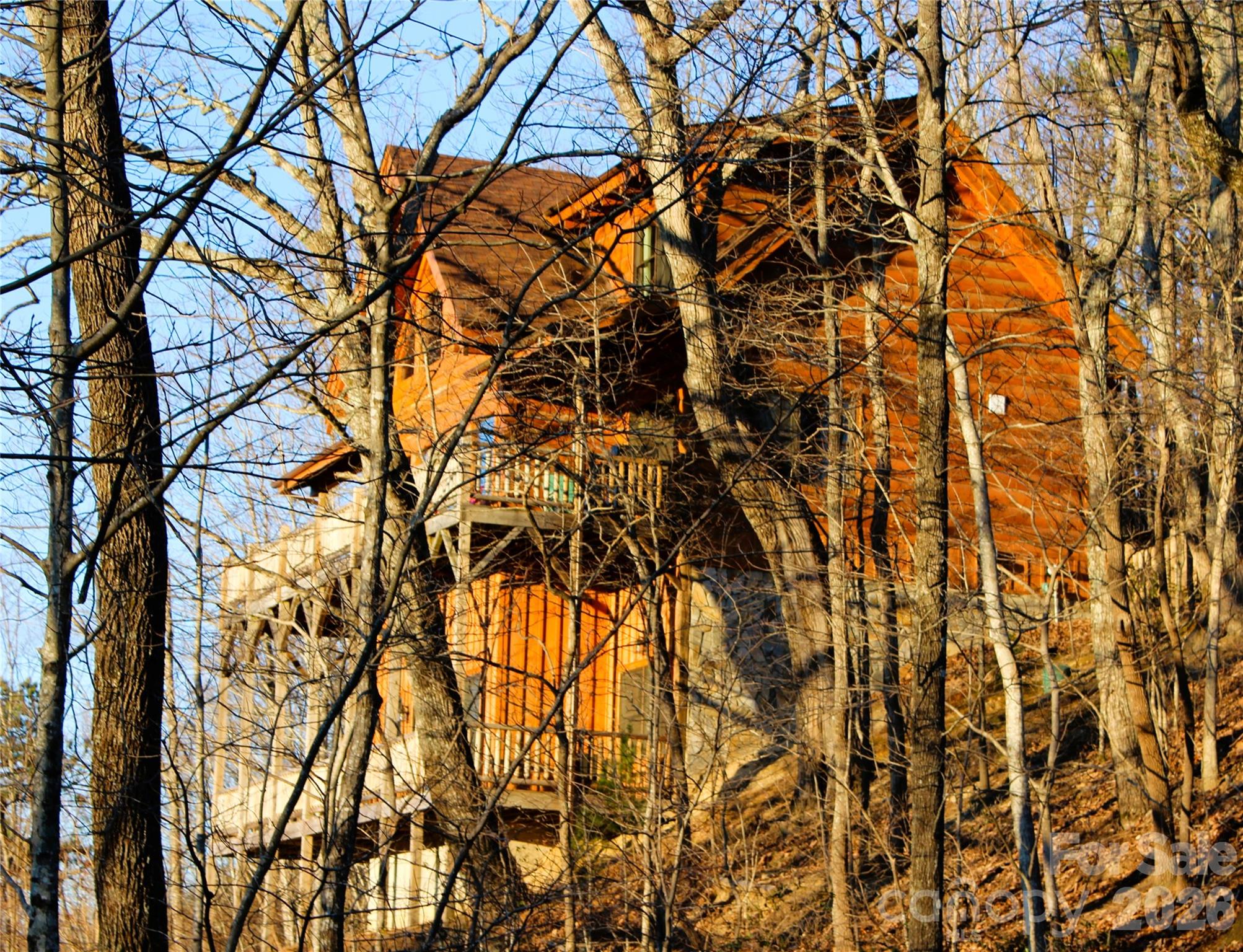 169 Overlook Point Lane Lake Lure, NC 28746 - Photo 9 of 39 a view of tree