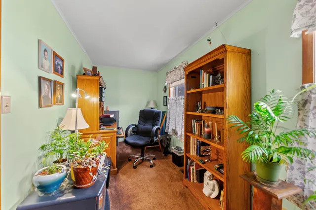 a living room filled with furniture and a potted plant