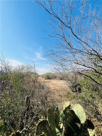 $514,120 | 1603 North FM 649, Guerra, TX 78360