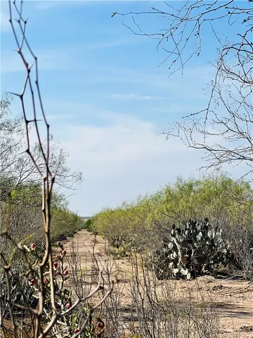 $514,120 | 1603 North FM 649, Guerra, TX 78360