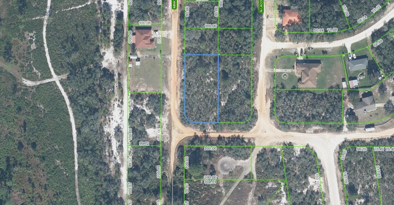 2400 Mink Road Avon Park, FL 33825 - Photo 4 of 9 mink5