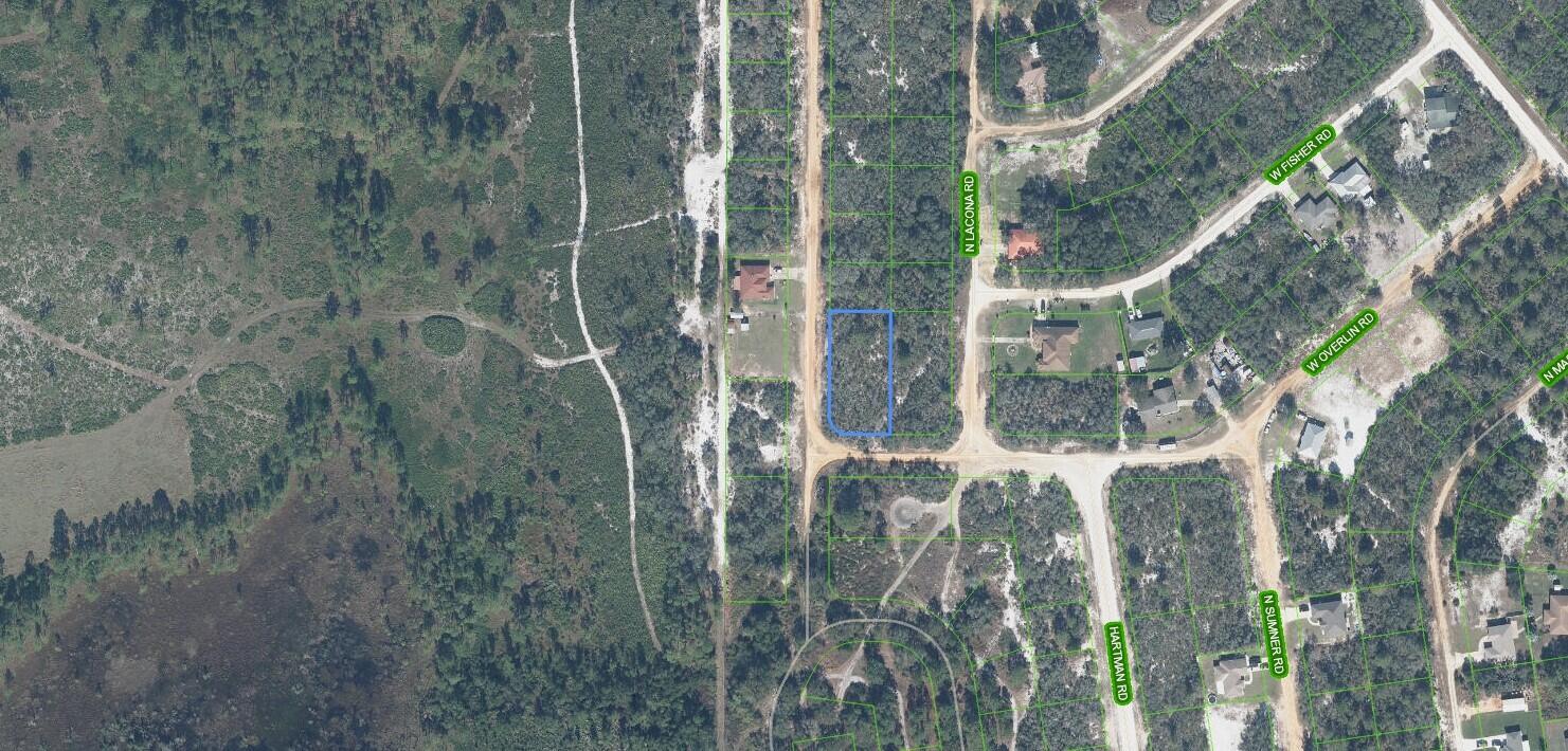 2400 Mink Road Avon Park, FL 33825 - Photo 5 of 9 mink4