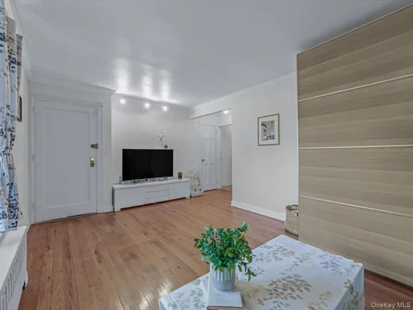 a living room with a flat screen tv and potted plant